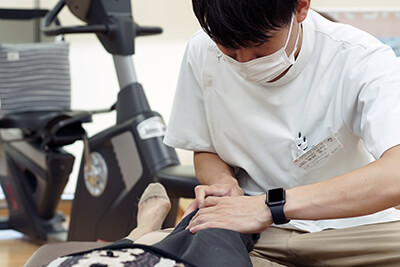 理学療法士 職場のリアルデータ